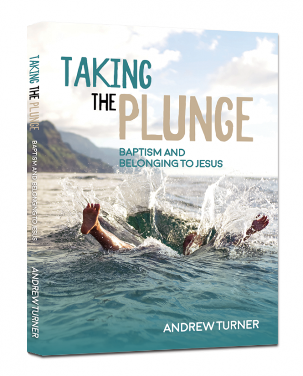 Taking the Plunge Book Cover